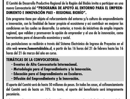 Convocatoria PAEI Regional Biobío (Elsur.cl)