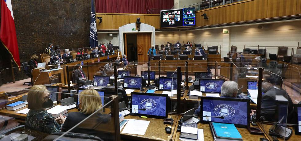 Senado aprobó en particular proyecto que perfecciona la ley de regionalización