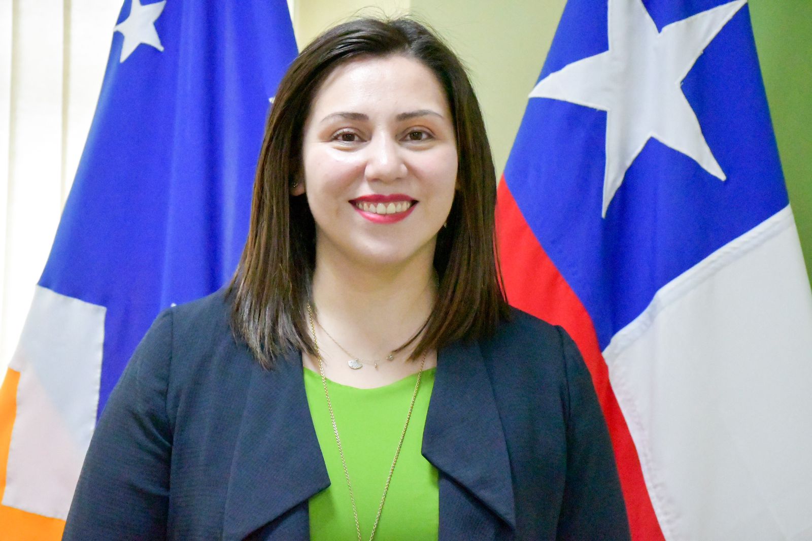 Constanza Calisto Gallardo provincia Antartica Chilena