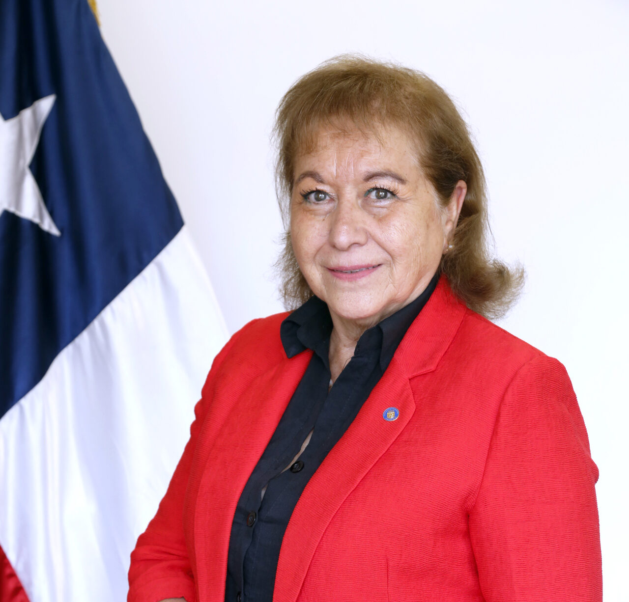 LosAndes_Edith_Quiroz_Ortiz
